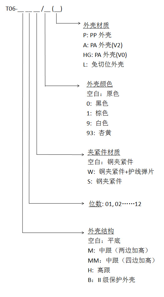 t06中.jpg