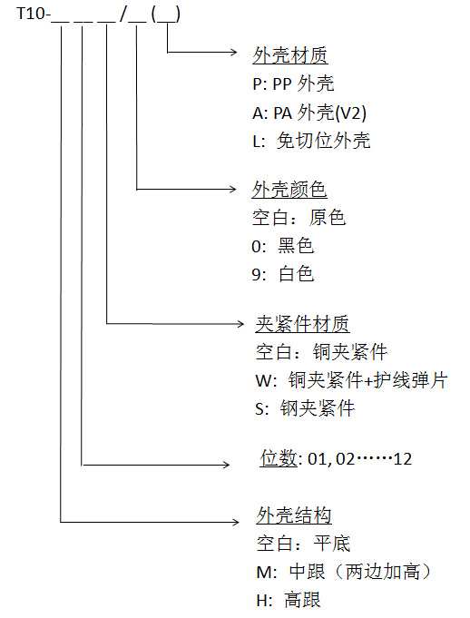 t10中.jpg