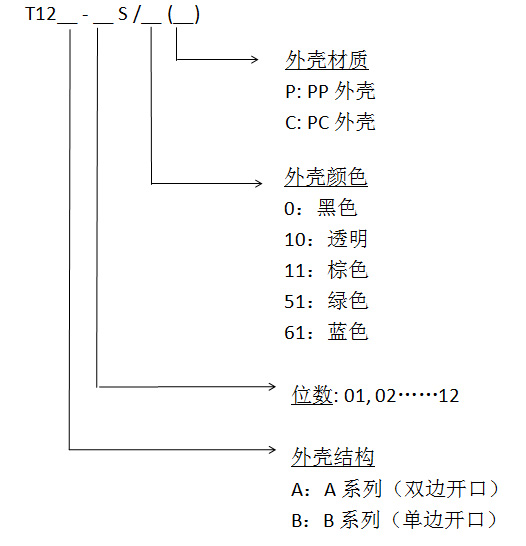 t12中.jpg