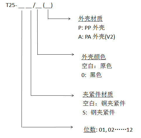 t25中.jpg